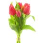 Bouquet di tulipani artificiali LONA, rosa scuro, 30 cm