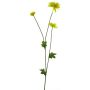 Crisantemo artificiale YUNJUAN, giallo, 60 cm