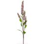 Ramo di phytolacca artificiale SULIYA, bacche, rosso bordeaux, 95cm