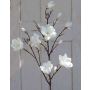 Ramo di magnolie finte YONA, crema-bianco, 130cm