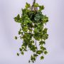 Tralcio di edera sintetica MAJA su stelo, verde, 70cm