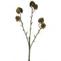 Ramo decorativo di physalis CUIXIA con frutti, oro antico, 40 cm