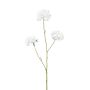 Ramo decorativo scabiosa DIHALLY, bianco, 80 cm