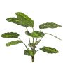 Pianta artificiale Calathea roseopicta WENFYN, bastoncino, verde, 55 cm