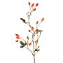 Ramo decorativo di rosa selvatica ZERBST con cinorrodi, arancione-rosso, 80 cm