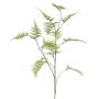 Decorazione ramo Asparagus plumosus UHERA, verde, 140 cm