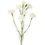 Ramo finto garofano PIARA, bianco, 60 cm, Ø 2-5 cm