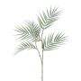 Ramo decorativo palma da frutto dorata MELTOR, congelato, bianco-verde, 80 cm