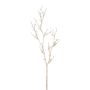 Ramo decorativo bacca finta FRILOX con bacche, champagne, 85 cm