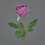 Fiore artificiale rosa POPI, viola-verde, 55 cm, Ø 7 cm