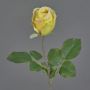 Fiore artificiale rosa POPI, giallo-rosa, 55 cm, Ø7 cm