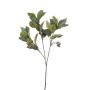Ramo artificiale di eucalipto VIZIMIR con frutti, verde, 80 cm