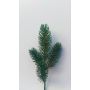 Ramo di abete artificiale ALOSANA, verde, 25 cm