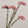 Fiore artificiale spartina AYISHA, effetto secco, rosa antico, 65 cm