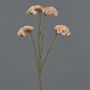 Fiore artificiale spartina AYISHA, effetto secco, bianco crema, 65 cm