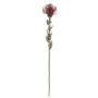 Fiore artificiale cuscino di spilli Protea URMINE, effetto secco, rosso bordeaux, 60 cm