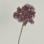 Viorella VARINKA con boccioli, effetto secco, rosso bordeaux, 55 cm