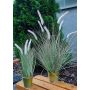 Erba artificiale SVERRE con pannocchie, vaso in zinco, rosa-verde, 50 cm