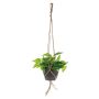Edera artificiale CASON in vaso decorativo, verde, 60 cm