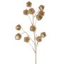 Ramo decorativo di physalis DUGONG con frutti, dorato, 90 cm