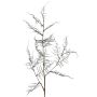 Ramo artificiale di Asparagus acutifolius NYALA, verde scuro, 85 cm
