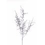 Ramo artificiale Asparagus acutifolius PARNASO, argento, 100 cm