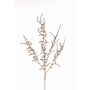 Ramo artificiale Asparagus acutifolius PARNASO, oro, 100 cm