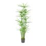 Erba cipriota artificiale LEITHA, verde, 150 cm