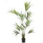 Palma Kentia artificiale PAIGE, 185 cm