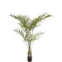Palma Areca artificiale AFENTIS, crossdoor, 165 cm