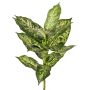 Dieffenbachia artificiale VISP, difficilmente infiammabile, bastoncino, verde-bianco, 40 cm