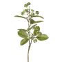 Ramo di corniolo artificiale PANGO con gemme, verde-bianco, 70 cm