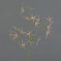 Ramo artificiale Tweedia solanoides TOSAR, rosa-verde, 70 cm