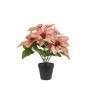 Stella di Natale artificiale GRULEN in vaso decorativo, color pesca, 40 cm