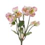 Rosa di Natale HALLA, 6 fiori, rosa, 30cm