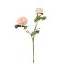 Ramo decorativo ranuncolo FLORANCE, rosa-salmone, 45 cm