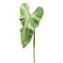 Foglia artificiale fiore di fenicottero ANULKO, verde, 95 cm