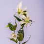 Gloriosa superba artificiale FUJITA, crema-verde, 80cm, Ø15cm