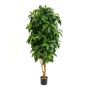 Schefflera artificiale MADDISON, tronchi naturali, difficilmente infiammabile, verde, 170cm