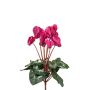 Piante artificiali ciclamino VERIANA su bastoncino, rosa, 30 cm