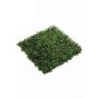 Tappeto di bosso sintetico HEINZ resiste intemperie, verde,50x50cm