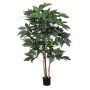 Schefflera artificiale BOGDANA, tronco naturale, verde, 160cm