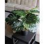 Filodendro artificiale Monstera Deliciosa MUNIN, 55cm