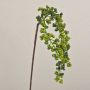 Ramo finto di sambuco SWANTJE, frutti, verde, 40cm