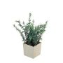 Pianta artificiale di rosmarino GILANG, fioriera, verde, 25cm