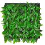 Siepe decorativa / Stuoia di photinia CHAVA, verde, 50x50cm