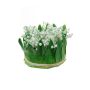 Composizione floreale artificiale di Mughetto IKENNA, bianco, 12cm, Ø16cm