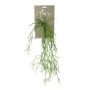 Rhipsalis artificiale LOUNIDA, gambo, verde, 60cm