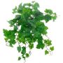 Vite artificiale IGNATIUS, Eco Collection, verde, 50 cm