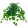 Geranio finto JORINKEL, Eco Collection, verde, 50 cm